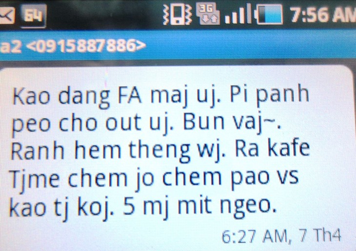 Junge Vietnamesen und die vietnamesische Sprache zur Zeit der Welteingliederung - ảnh 1