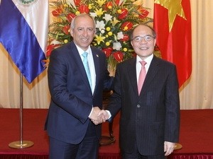 Der Parlamentspräsident El Salvadors besucht Vietnam - ảnh 1