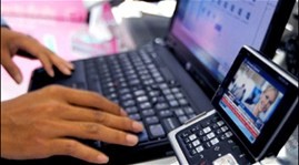 Weißes Buch über Informationstechnologie und Kommunikation 2013 - ảnh 1