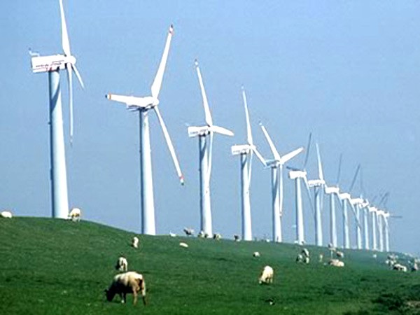 Unternehmensforum zum Kampf gegen Klimawandel - ảnh 1