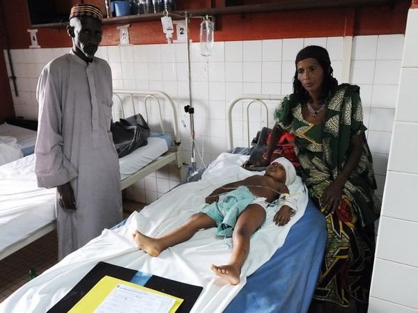 UN-Sicherheitsrat billigt Militäreinsatz in Zentralafrikanischer Republik - ảnh 1