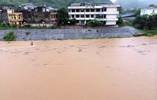 Vietnam: Vier Tote durch Taifun Rammasun - ảnh 1