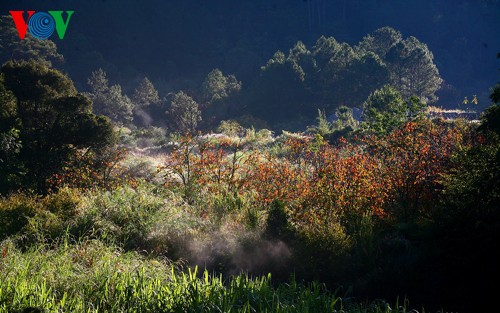 Blick auf Da Lat - ảnh 6