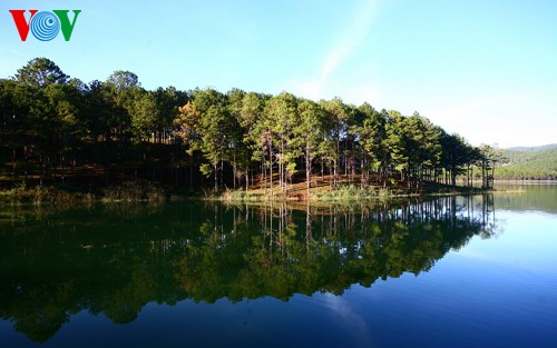 Blick auf Da Lat - ảnh 8