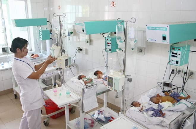 13 neue Gesetze in Kraft getreten - ảnh 1