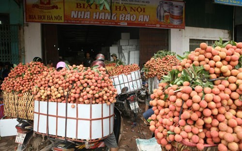 Perspektive für Obstexport - ảnh 1