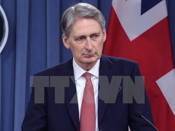 Anti-IS-Allianz tagt in Großbritannien - ảnh 1