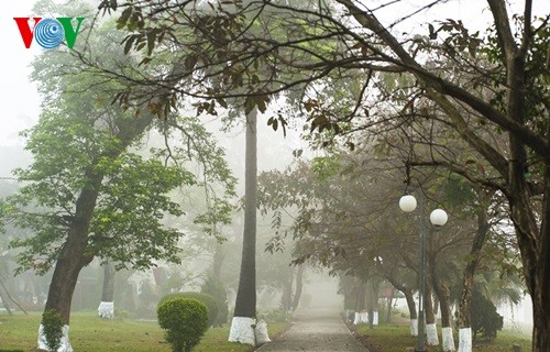 Poetische Schönheit der Stadt Hue im Nebel - ảnh 10