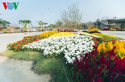 Landkarte aus Blumen am Han-Fluss stellt Rekord Vietnams auf - ảnh 5