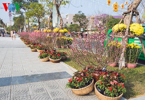 Landkarte aus Blumen am Han-Fluss stellt Rekord Vietnams auf - ảnh 6