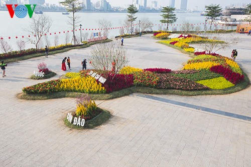 Landkarte aus Blumen am Han-Fluss stellt Rekord Vietnams auf - ảnh 8