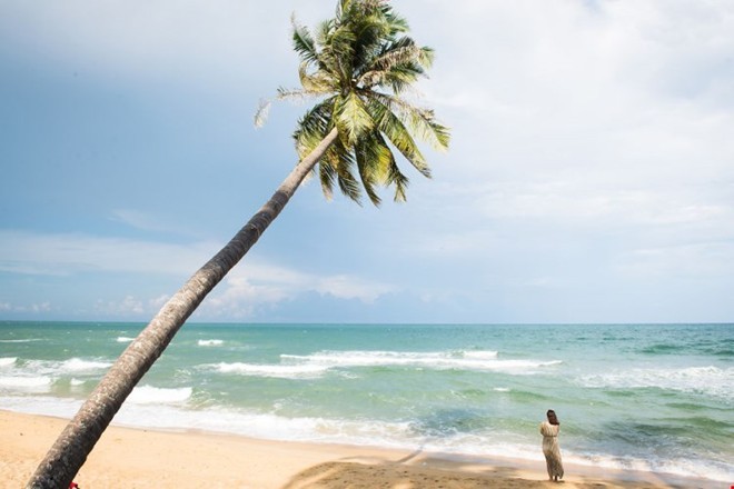 Die ruhige Schönheit der Insel Phu Quoc - ảnh 8