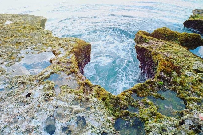 Koralleninsel – glänzende Perle der Provinz Ninh Thuan - ảnh 2