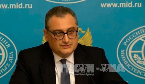 Russland schätzt FTA-Modell zwischen Vietnam und EAEU sehr - ảnh 1