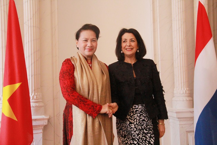 Beziehungen und Zusammenarbeit zwischen Vietnam und Niederlande entwickeln sich stark - ảnh 1