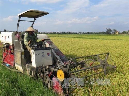 Thai Binh entwickelt die Landwirtschaft - ảnh 1