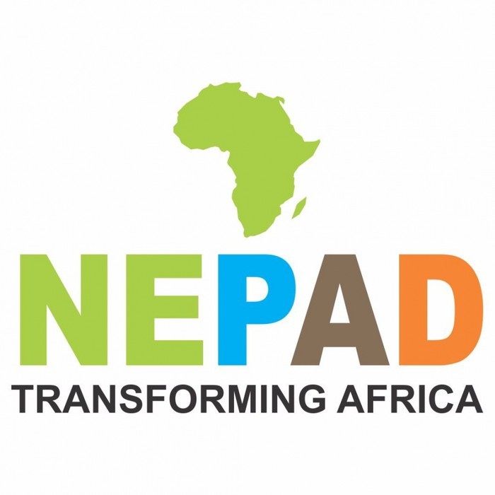 Verstärkung der Partnerschaft zwischen ASEAN und Afrika - ảnh 1