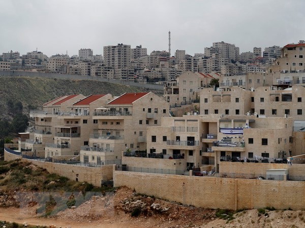 Palästina wirft Israel vor, die Zweistaatenlösung zu zerstören - ảnh 1