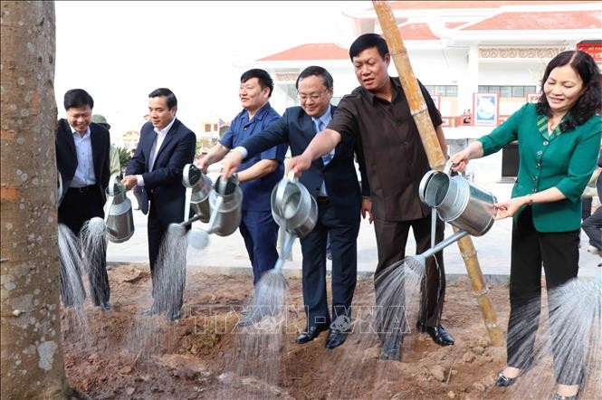 Aktivitäten zum Jahr des Schweins 2019 - ảnh 1