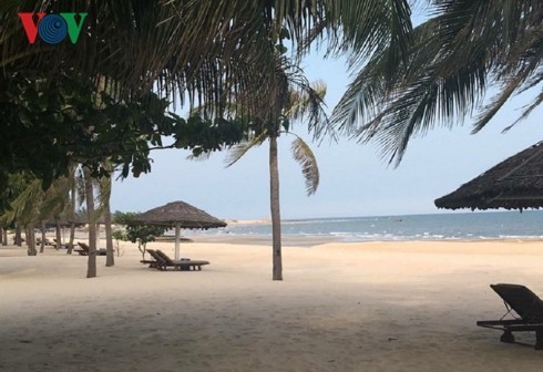 Fast 50 Investitionsprojekte in Wirtschaftszone Chan May – Lang Co - ảnh 1