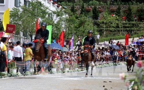 Das erste Fansipan Pferderennen - ảnh 1