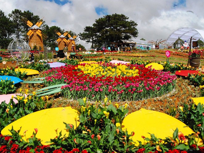 Da Lat‘s Blumenfestival 2019 findet im Dezember statt - ảnh 1