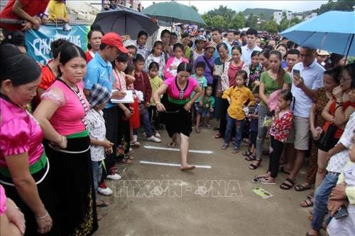 Kulturtage der Volksgruppe Thai  - ảnh 1