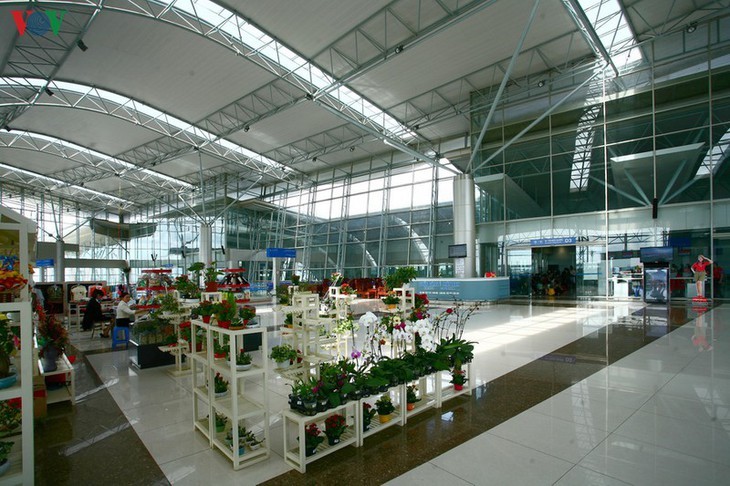 Flughafen Lien Khuong: bunte Blume im Hochland Tay Nguyen - ảnh 10