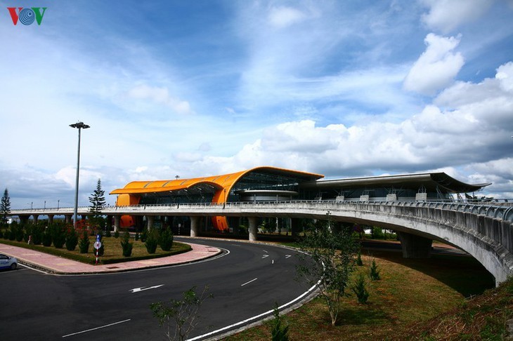 Flughafen Lien Khuong: bunte Blume im Hochland Tay Nguyen - ảnh 1