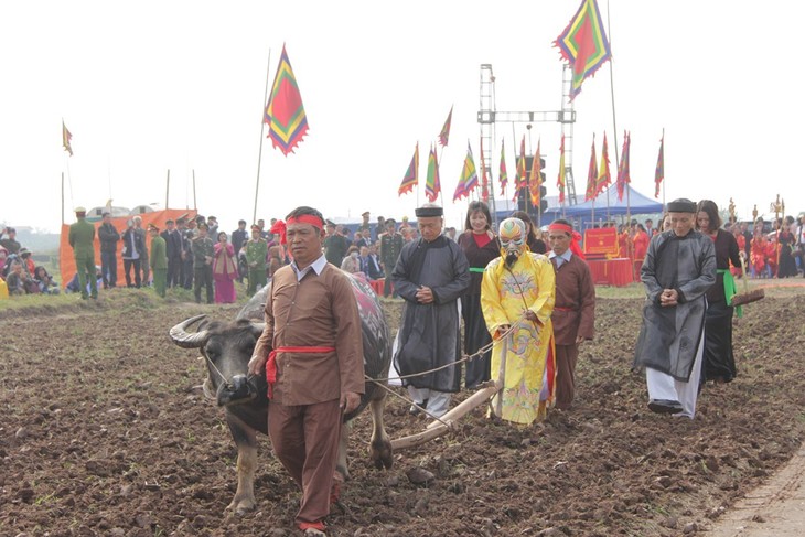 Reisanbaufest Doi Son 2020 - ảnh 1