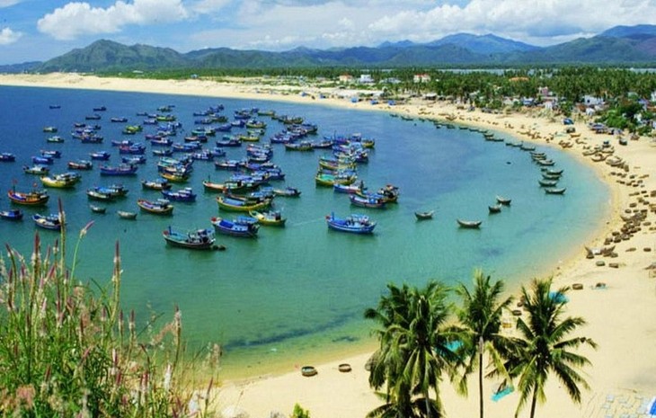Binh Dinh schließt Sehenswürdigkeiten und stellt Toure auf Insel Nhon Chau ein - ảnh 1