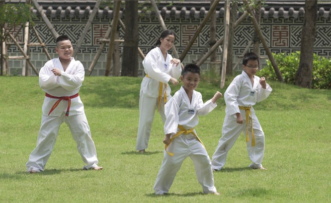 Die südkoreanische Botschaft produziert Videoclip zur Ermutigung der Covid-19-Prävention und –Bekämpfung - ảnh 1