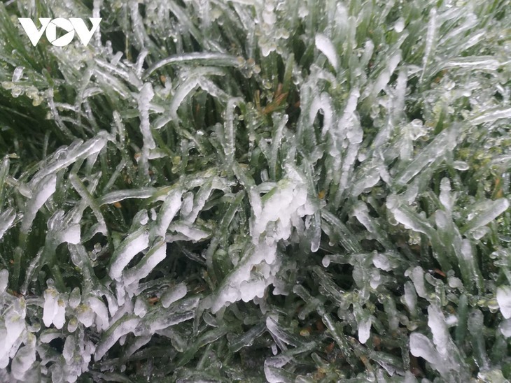 Eis in den bergigen Gebieten Nordvietnams - ảnh 8