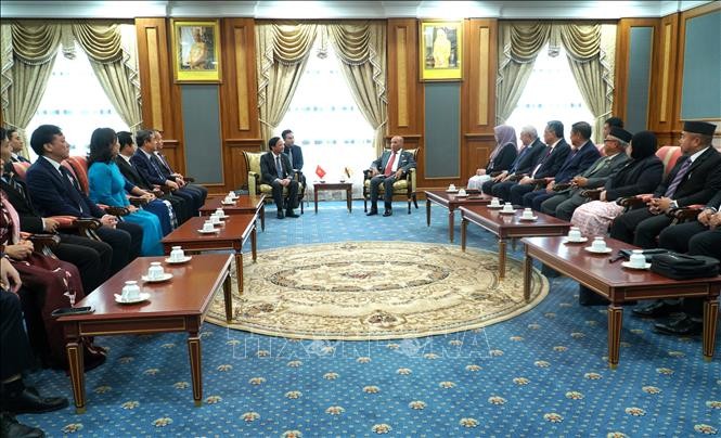 Verstärkung der vielseitigen Zusammenarbeit zwischen Vietnam und Brunei - ảnh 1