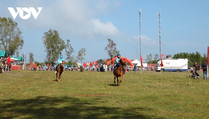 Traditionelles Pferderennen Go Thi Thung - ảnh 1