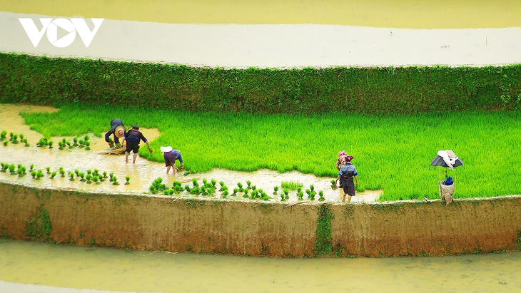 Entdeckung der Reisterrassen in Mu Cang Chai während der Wassersaison - ảnh 3