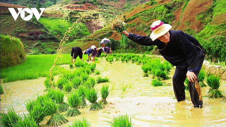 Entdeckung der Reisterrassen in Mu Cang Chai während der Wassersaison - ảnh 5