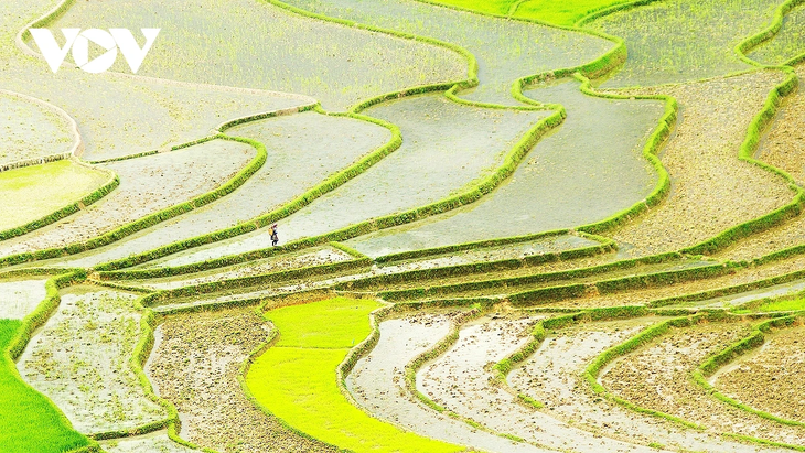 Entdeckung der Reisterrassen in Mu Cang Chai während der Wassersaison - ảnh 8