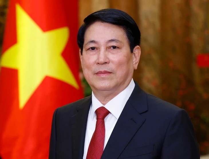 Staatspräsident Luong Cuong wird an der Feier zum 80. Jahrestag des Sieges über Faschismus in Peking teilnehmen - ảnh 1