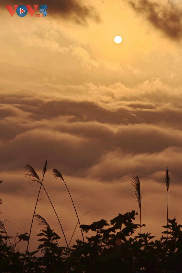 Das Wolkenparadies Ta Xua – Ein globales Reiseziel für 2026 - ảnh 6