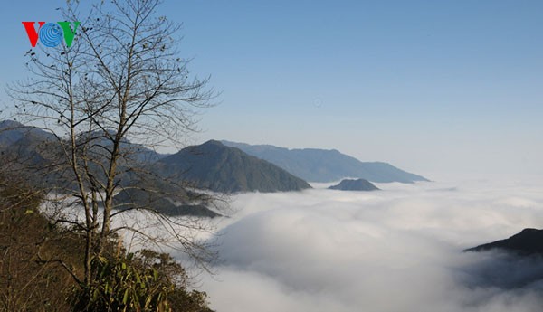 Highland Sapa in the clouds - ảnh 2