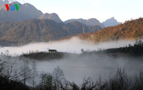 Highland Sapa in the clouds - ảnh 7