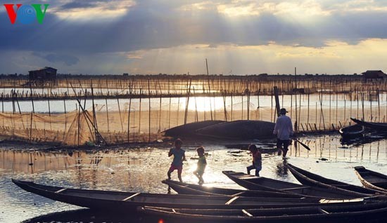 Romantic scenery at Tam Giang Lagoon - ảnh 14