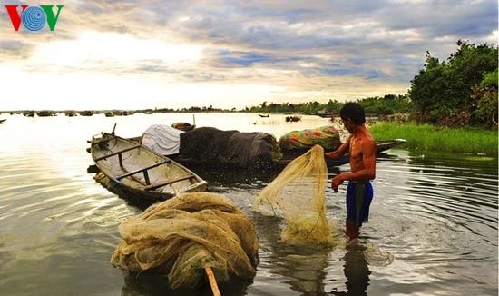 Romantic scenery at Tam Giang Lagoon - ảnh 4