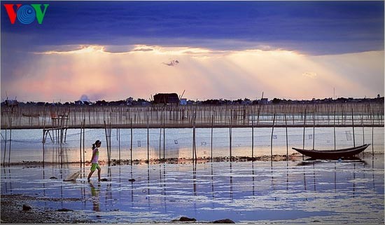 Romantic scenery at Tam Giang Lagoon - ảnh 8