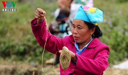 Die Mong in Moc Chau feiern das Neujahrsfest - ảnh 6