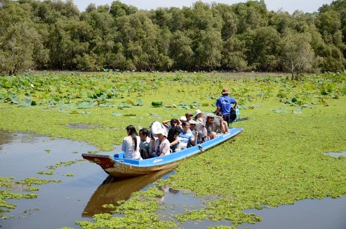 Der Tra Su-Cajuput-Wald in An Giang - ảnh 1