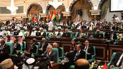 Ausschluss Syriens aus Organisation für Islamische Zusammenarbeit  - ảnh 1