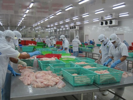 Vietnamesische Unternehmen protestieren gegen US-Strafzölle auf Pangasius - ảnh 1
