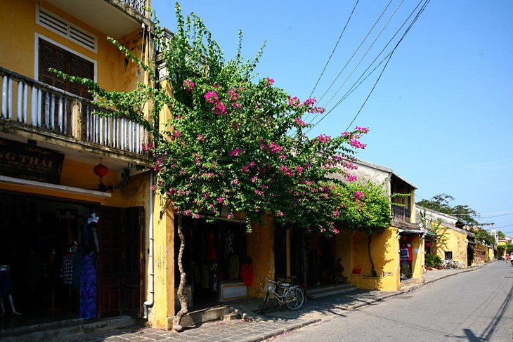 Altstadt von Hoi An und Begrünung - ảnh 1